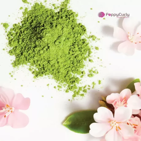 Matcha Green Tea & Wild Apple Blossom CONDITIONER Ultimate Nutrition de Not Your Mother's Maroc casablanca Poppycurly.ma