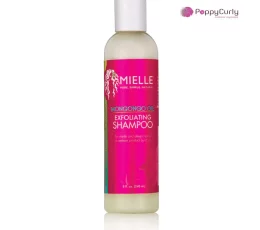 Mielle Organics Mongongo Oil Exfoliating Shampoo, Maroc casablanca Poppycurly.ma